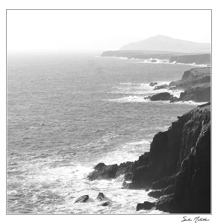 DP Blog